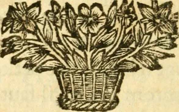 An illustration from Les plus belles lettres des meilleurs auteurs François : avec des notes, 1696, leaf 165