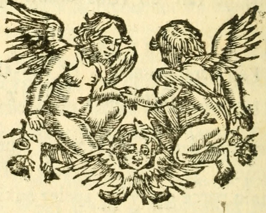 An illustration from Les plus belles lettres des meilleurs auteurs François : avec des notes, 1696, leaf 335