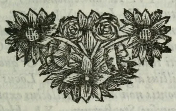 An illustration from Les Poesies d'Anacreon et de Sappho, 1699, leaf 303