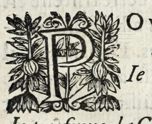 An illustration from Les poesies du P. Pierre Le Moine, de la Compagnie de Iesus, 1650, leaf 79
