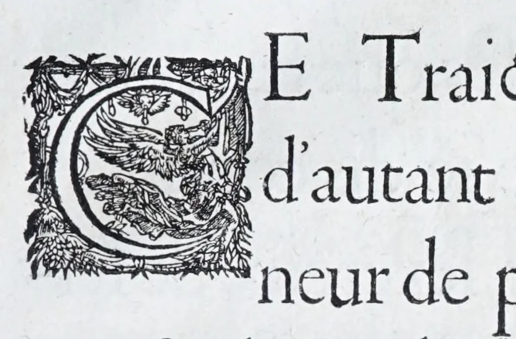 An illustration from Les practiques du sieur Fabre, sur lordre et reigle de fortifier, garder, attaquer, et defendre les places : auec vn facile moyen pour leuer touttes sortes de plans, tant des places et des bastimens, que de la campaigne pour les cartes, 1629, leaf 145