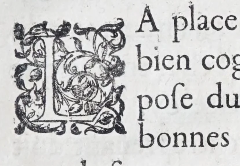 An illustration from Les practiques du sieur Fabre, sur lordre et reigle de fortifier, garder, attaquer, et defendre les places : auec vn facile moyen pour leuer touttes sortes de plans, tant des places et des bastimens, que de la campaigne pour les cartes, 1629, leaf 175