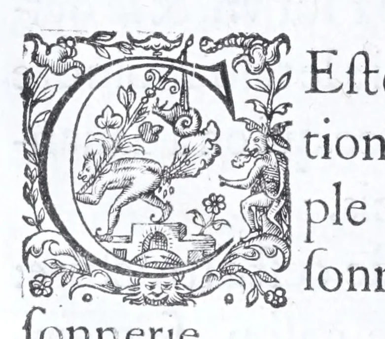 An illustration from Les practiques du sieur Fabre, sur lordre et reigle de fortifier, garder, attaquer, et defendre les places : auec vn facile moyen pour leuer touttes sortes de plans, tant des places et des bastimens, que de la campaigne pour les cartes, 1629, leaf 36