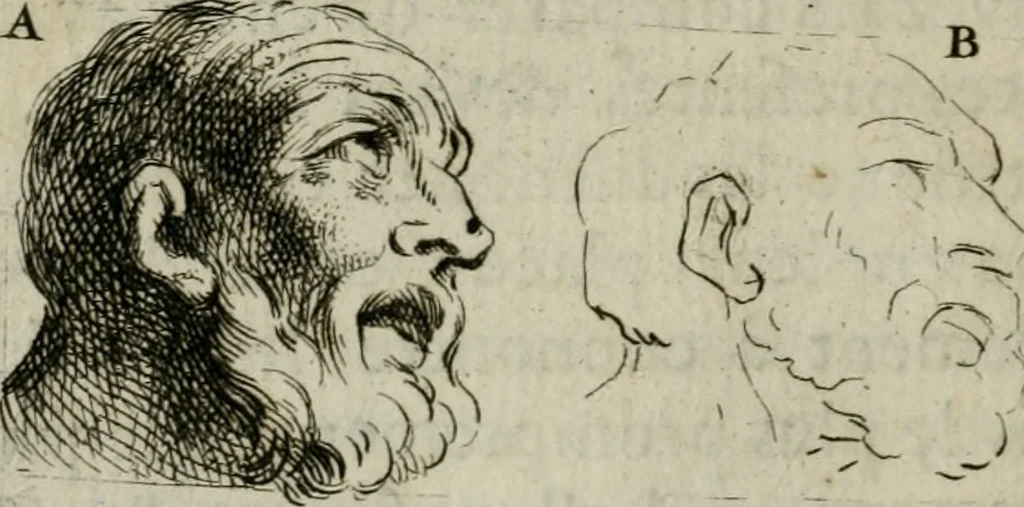An illustration from Les premiers elemens de la peinture pratique : enrichis de figures de proportion mesurées sur l'antique, 1684, leaf 37