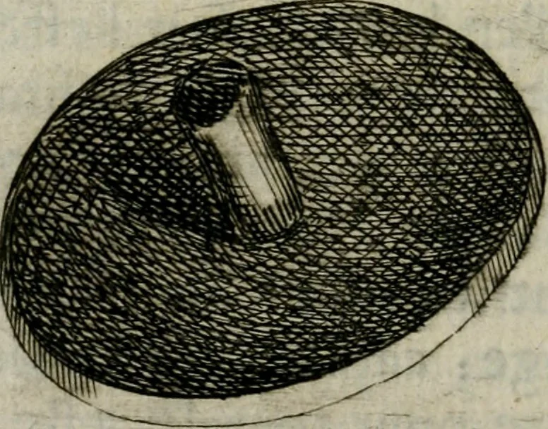 An illustration from Les premiers elemens de la peinture pratique : enrichis de figures de proportion mesurées sur l'antique, 1684, leaf 93