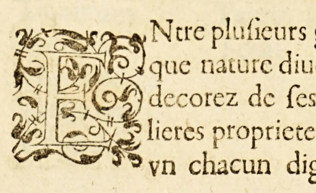 An illustration from Les principes d'astronomie et cosmographie : auec l'vsage du globe., 1582, leaf 142