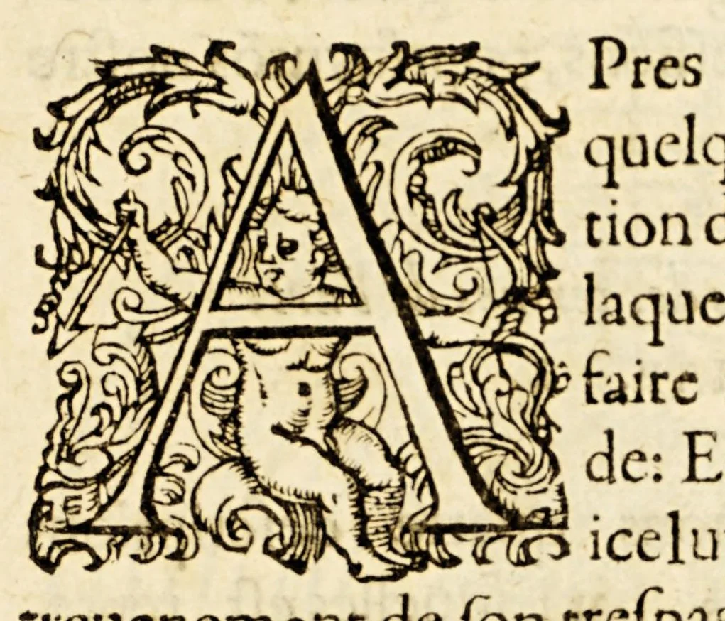 An illustration from Les principes d'astronomie et cosmographie : auec l'vsage du globe., 1582, leaf 187