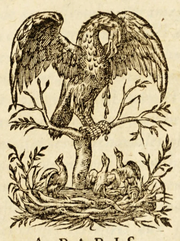 An illustration from Les principes d'astronomie et cosmographie : auec l'vsage du globe., 1582, leaf 7