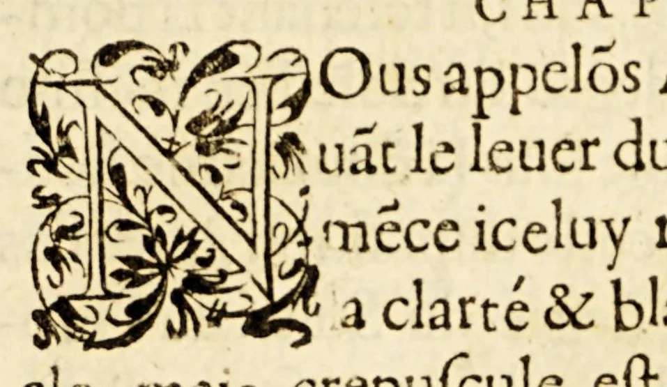 An illustration from Les principes d'astronomie et cosmographie : auec l'vsage du globe., 1582, leaf 75