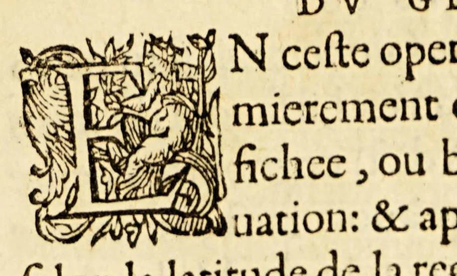 An illustration from Les principes d'astronomie et cosmographie : auec l'vsage du globe., 1582, leaf 77