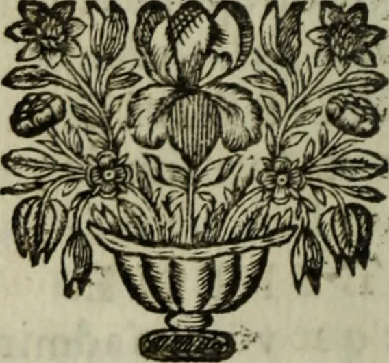 An illustration from L'esprit de cour, ou, Les cent conversations galantes, 1681, leaf 47