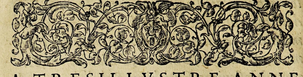 An illustration from Les propositions contentieuses, 1562, leaf 20