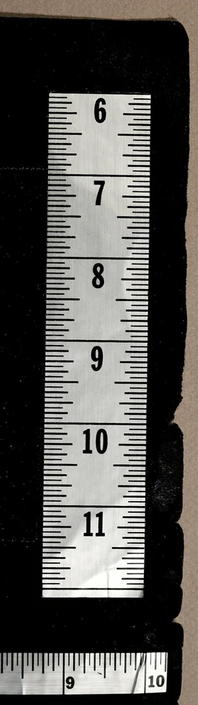 An illustration from Les propositions contentieuses, 1562, leaf 329