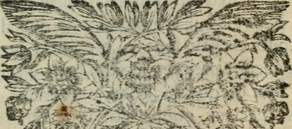 An illustration from Les prétendus réformez convaincus de schisme : Pour servir de réponse à un récit intitulé Considérations sur les lettres circulaires de l'Assemblée du clergé de France de l'année 1682, 1684, leaf 13