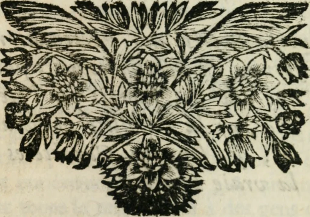 An illustration from Les prétendus réformez convaincus de schisme : Pour servir de réponse à un récit intitulé Considérations sur les lettres circulaires de l'Assemblée du clergé de France de l'année 1682, 1684, leaf 430