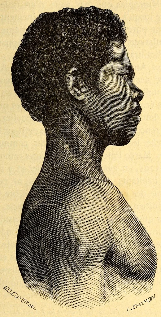 An illustration from Les pygmées, 1887, leaf 125