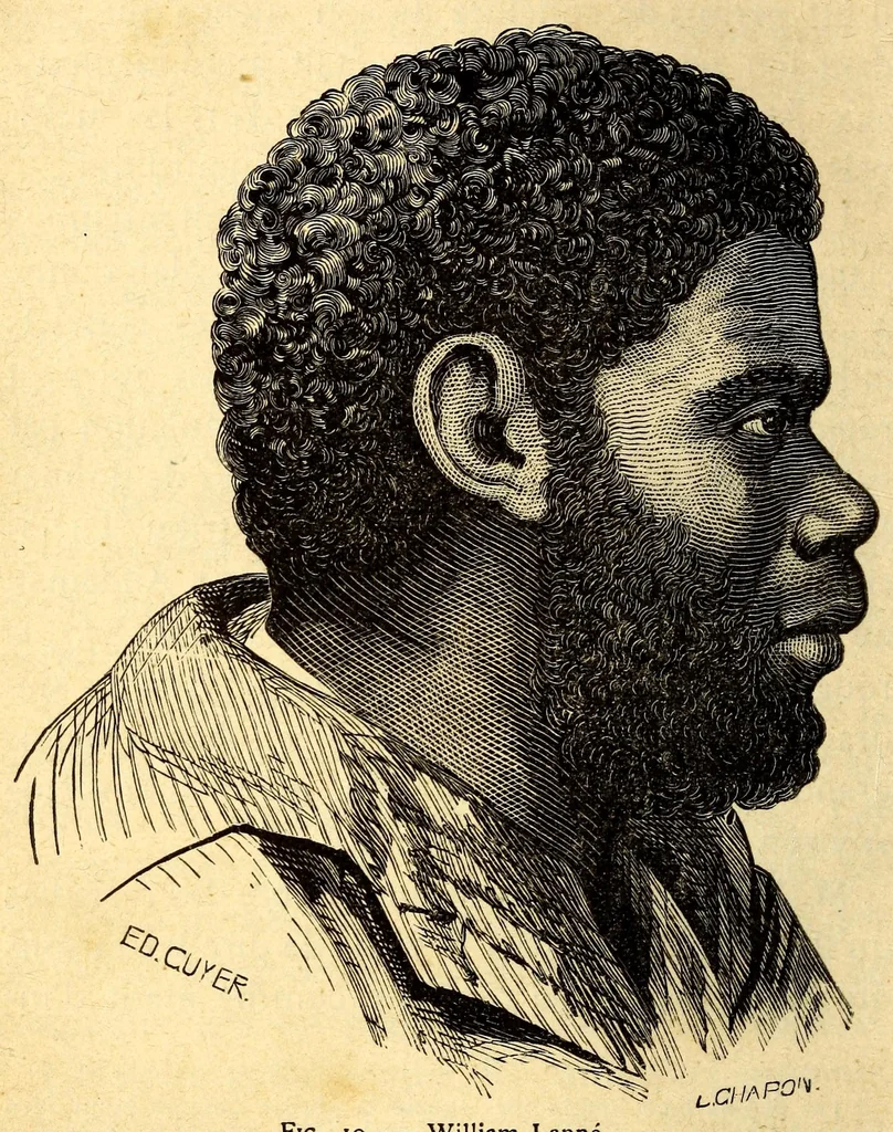 An illustration from Les pygmées, 1887, leaf 144