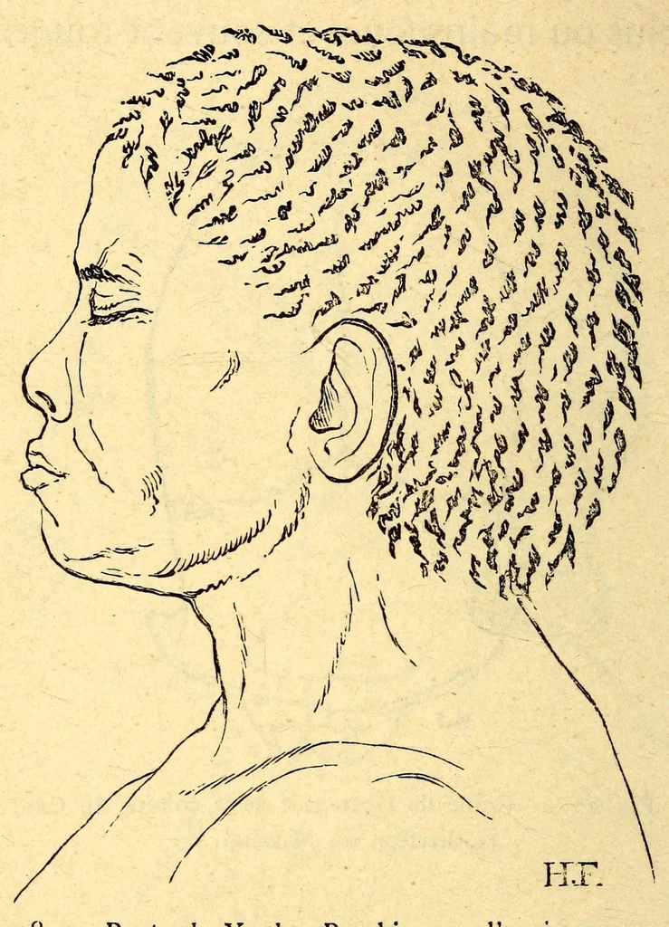An illustration from Les pygmées, 1887, leaf 292