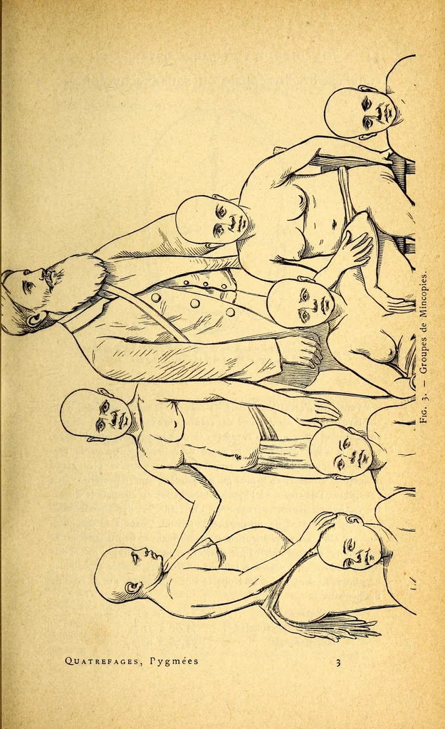An illustration from Les pygmées, 1887, leaf 47