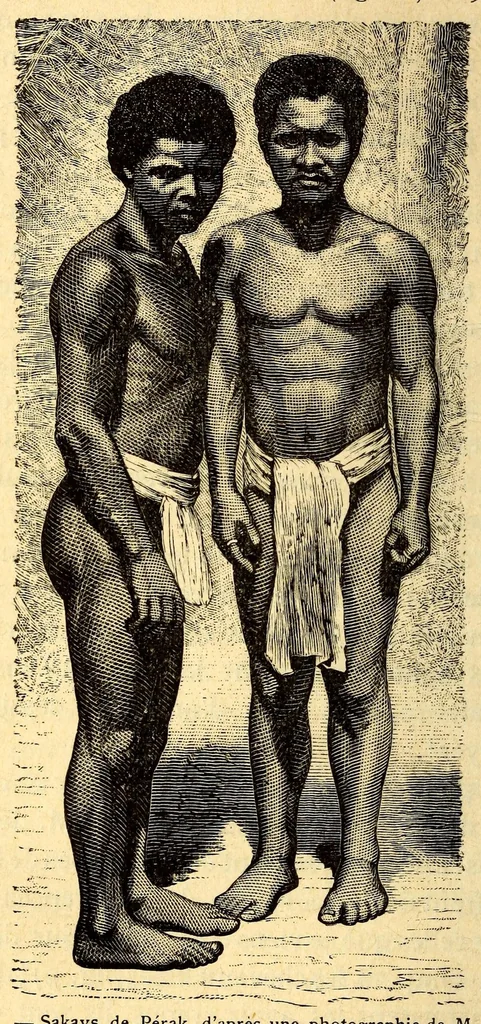An illustration from Les pygmées, 1887, leaf 68