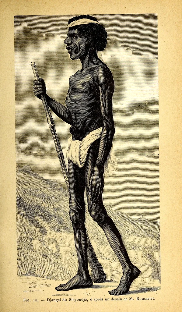 An illustration from Les pygmées, 1887, leaf 75