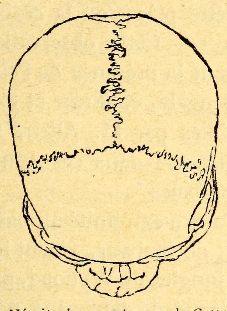 An illustration from Les pygmées, 1887, leaf 79