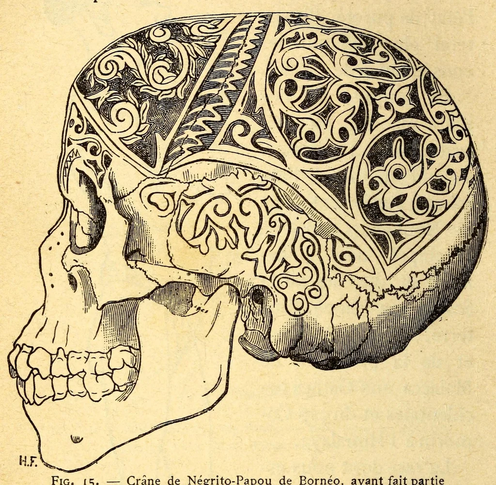 An illustration from Les pygmées, 1887, leaf 86