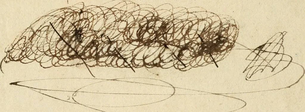 An illustration from Les quatre liures de l'architecture d'André Palladio : mis en françois : dans lesquels, après vn petit traitté des cinq ordres, auec quelques-vnes des plus necessaires obseruations pour bien bastir, il parle de la construction des maisons particulieres, des grands chemins, des ponts, des places publiques, des xystes, des basiliques, & des temples, 1650, leaf 2