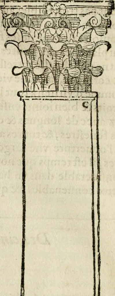 An illustration from Les quatre liures de l'architecture d'André Palladio : mis en françois : dans lesquels, après vn petit traitté des cinq ordres, auec quelques-vnes des plus necessaires obseruations pour bien bastir, il parle de la construction des maisons particulieres, des grands chemins, des ponts, des places publiques, des xystes, des basiliques, & des temples, 1650, leaf 21
