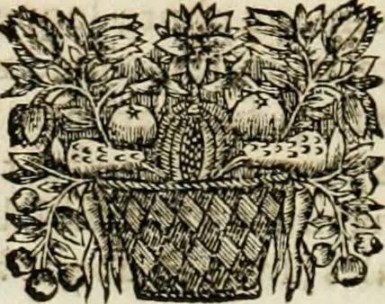 An illustration from Les quatre liures de l'architecture d'André Palladio : mis en françois : dans lesquels, après vn petit traitté des cinq ordres, auec quelques-vnes des plus necessaires obseruations pour bien bastir, il parle de la construction des maisons particulieres, des grands chemins, des ponts, des places publiques, des xystes, des basiliques, & des temples, 1650, leaf 23