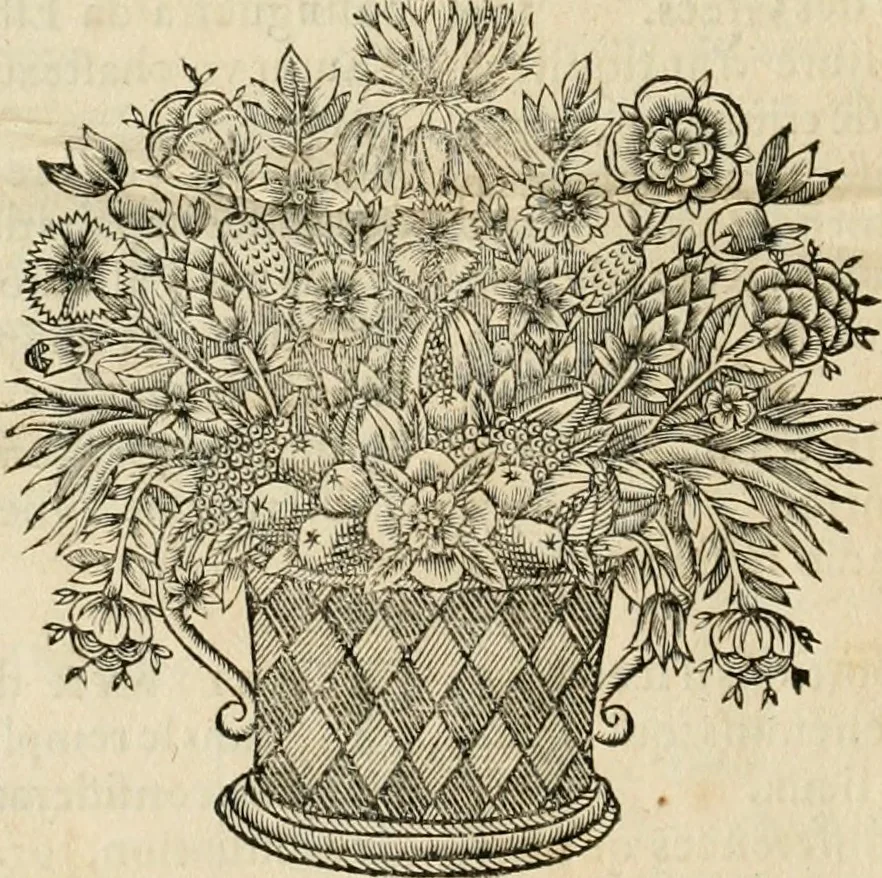 An illustration from Les quatre liures de l'architecture d'André Palladio : mis en françois : dans lesquels, après vn petit traitté des cinq ordres, auec quelques-vnes des plus necessaires obseruations pour bien bastir, il parle de la construction des maisons particulieres, des grands chemins, des ponts, des places publiques, des xystes, des basiliques, & des temples, 1650, leaf 341