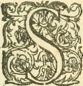 An illustration from Les questions militaires, 1617, leaf 66