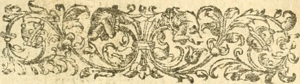 An illustration from Les questions militaires, 1617, leaf 8