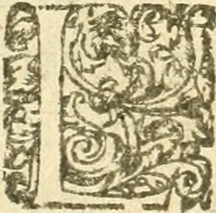 An illustration from Les questions militaires, 1617, leaf 8
