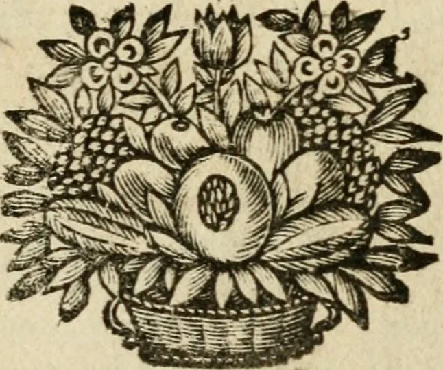 An illustration from Les qvantitez disposeés par table et par figvre en taille douce : ouvrage où on se sert utilement des lieux de rhetorique, pour rendre plus facile l'intelligence des exemples en vers latins, qui y sont employez, & confirmez par plusieurs emblêmes, devises, enigmes, fables, histoires & allusions à divers proverbes, afin de les mieux retenir, & de ne regler pas moins les murs que le jugement, 1572, leaf 2