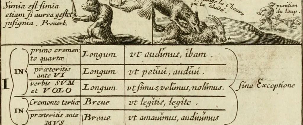 An illustration from Les qvantitez disposeés par table et par figvre en taille douce : ouvrage où on se sert utilement des lieux de rhetorique, pour rendre plus facile l'intelligence des exemples en vers latins, qui y sont employez, & confirmez par plusieurs emblêmes, devises, enigmes, fables, histoires & allusions à divers proverbes, afin de les mieux retenir, & de ne regler pas moins les murs que le jugement, 1572, leaf 20