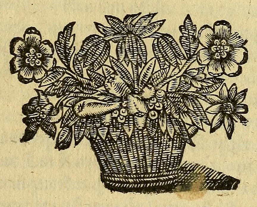 An illustration from Les Raisons ov les motifs veritables de la deffense dv Parlement & des habitans de Paris : contre les perturbateurs du repos public, & les ennemis du roy & de l'estat, 1649, leaf 1