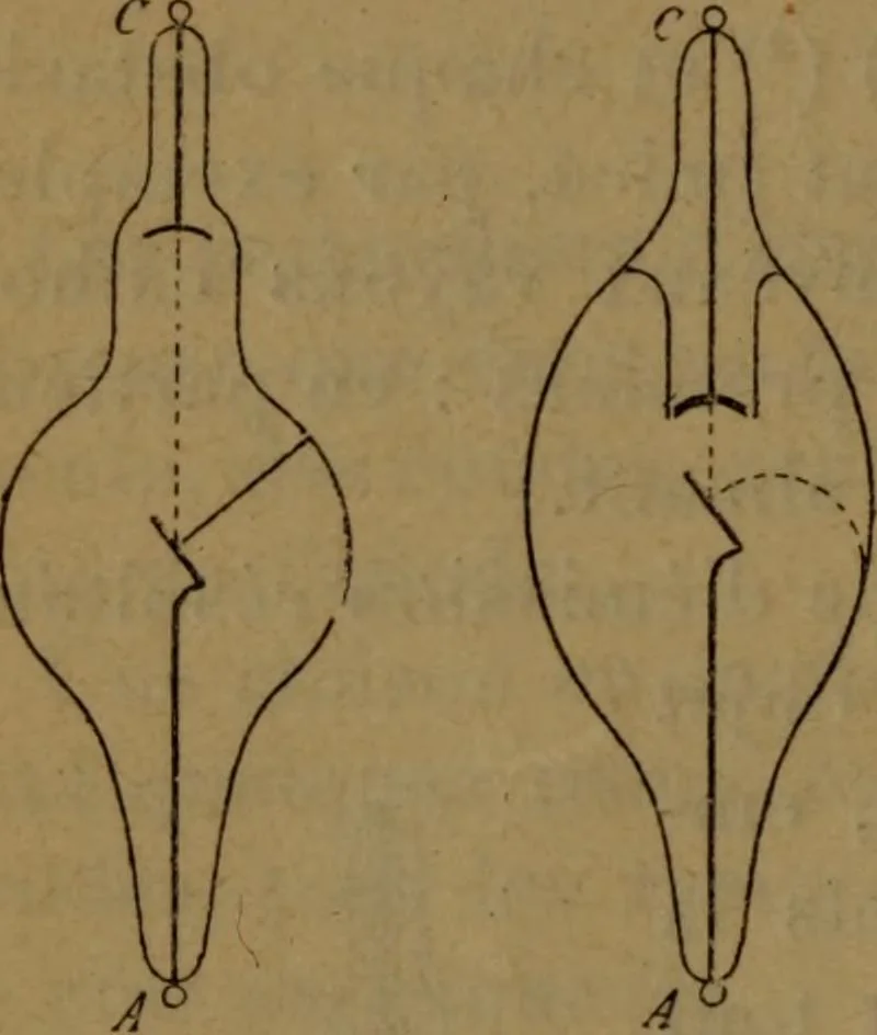 An illustration from Les rayons cathodiques, 1900, leaf 83