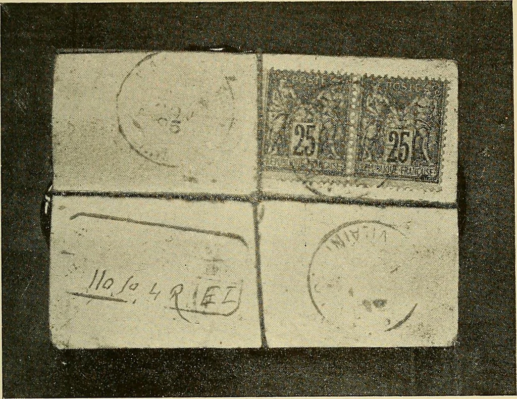 An illustration from Les rayons X et la photographie a travers les corps opaques, 1896, leaf 126