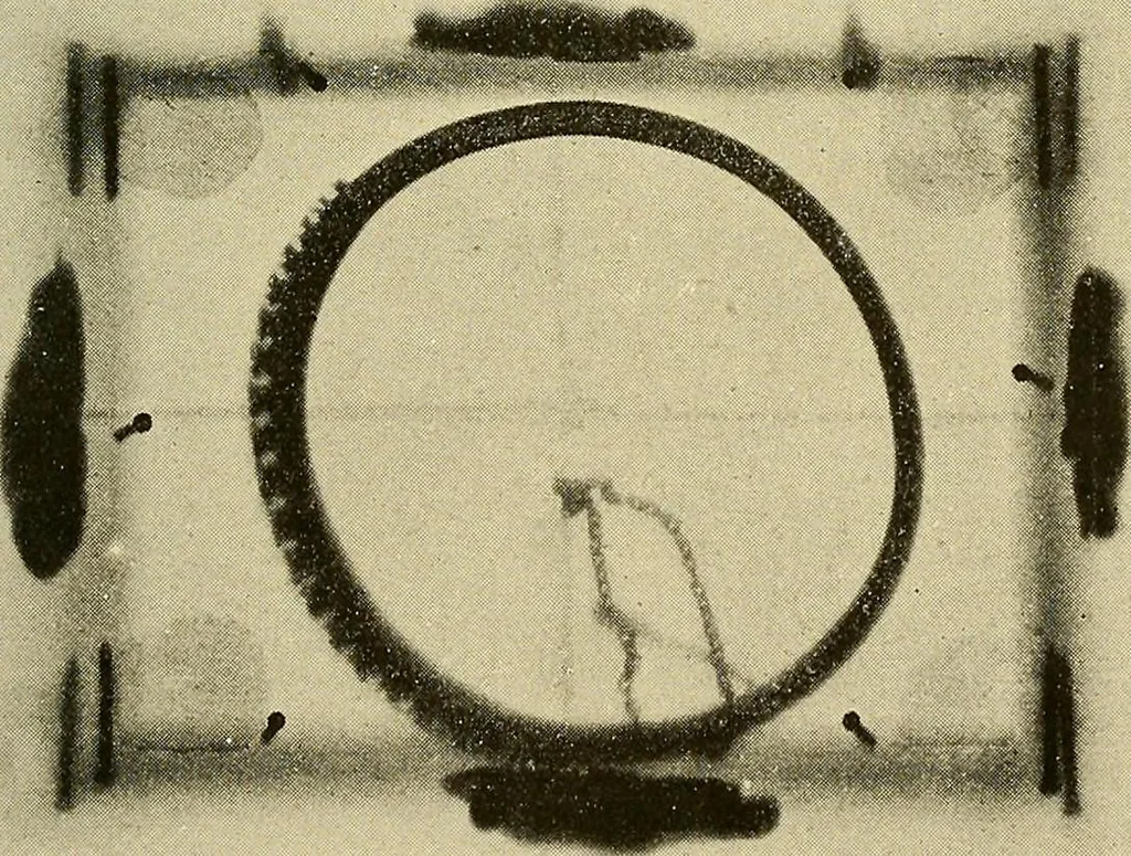 An illustration from Les rayons X et la photographie a travers les corps opaques, 1896, leaf 126