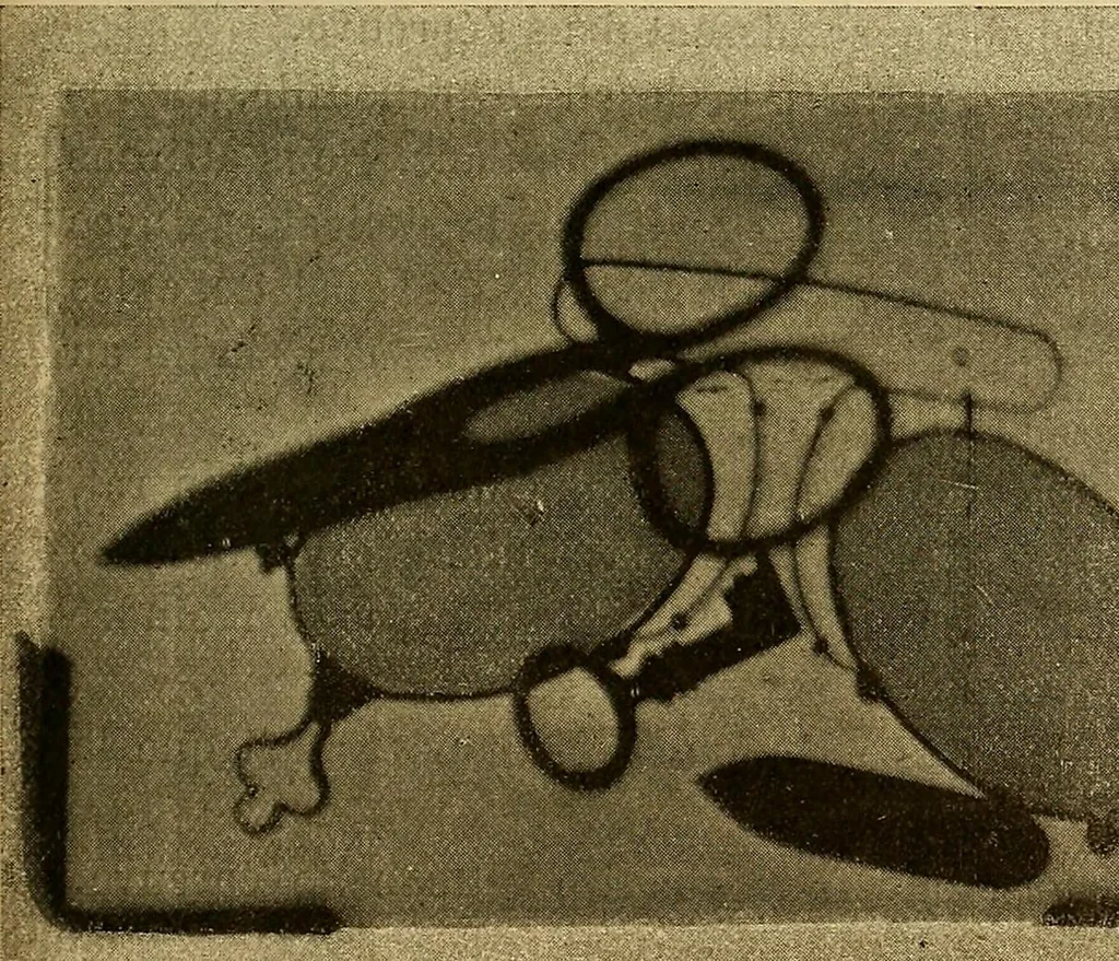 An illustration from Les rayons X et la photographie a travers les corps opaques, 1896, leaf 132