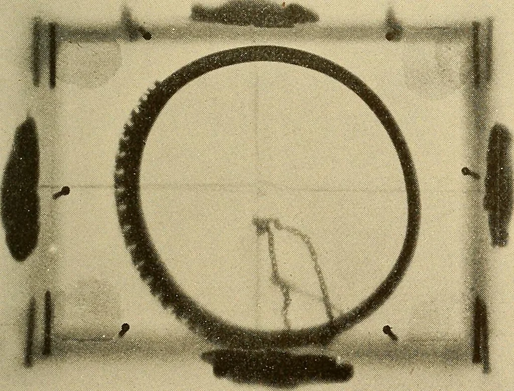 An illustration from Les rayons X et la photographie a travers les corps opaques, 1896, leaf 136