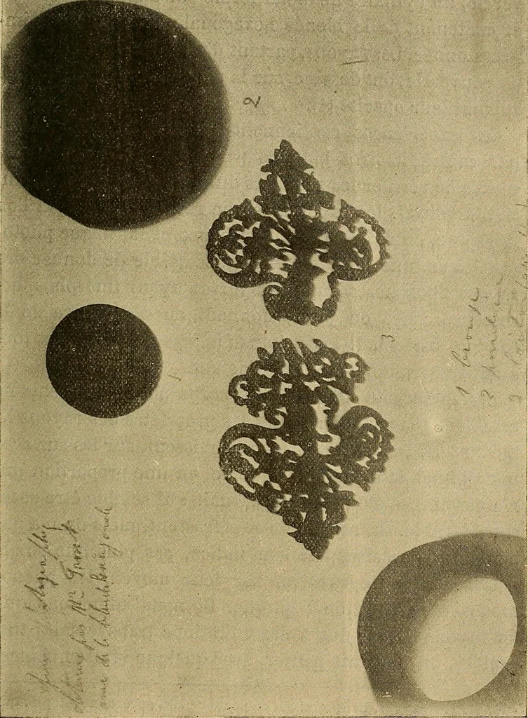 An illustration from Les rayons X et la photographie a travers les corps opaques, 1896, leaf 144