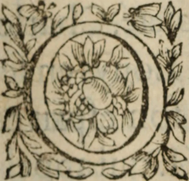 An illustration from Les recherches des Recherches [et] autres oeuures de me Estienne Pasqvier, pour la defense de nos roys, contre les outrages, calomnies, [et] autres impertinences dudit autheur .., 1622, leaf 123