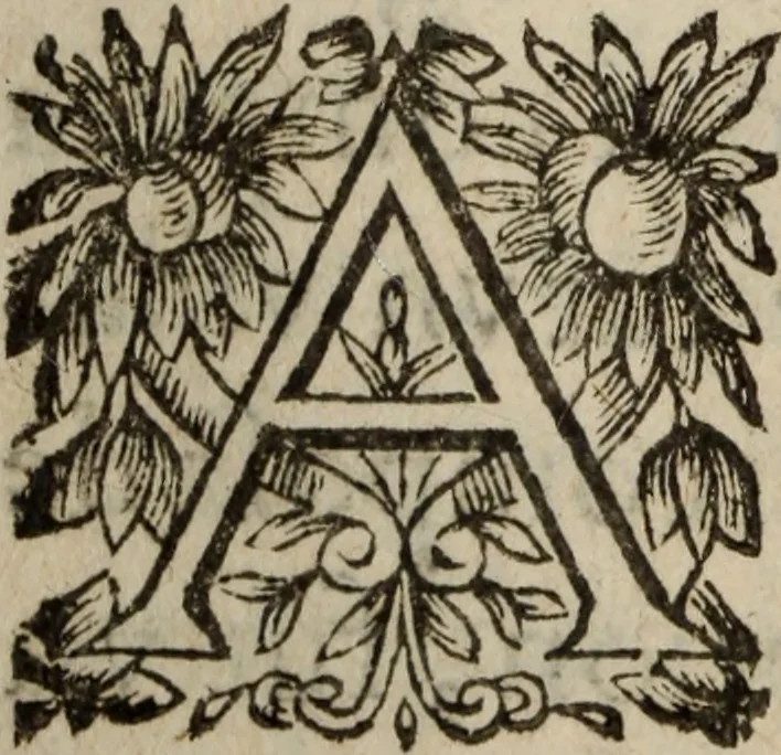 An illustration from Les recherches des Recherches [et] autres oeuures de me Estienne Pasqvier, pour la defense de nos roys, contre les outrages, calomnies, [et] autres impertinences dudit autheur .., 1622, leaf 133