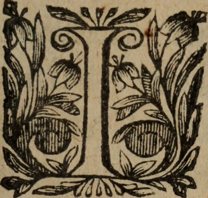 An illustration from Les recherches des Recherches [et] autres oeuures de me Estienne Pasqvier, pour la defense de nos roys, contre les outrages, calomnies, [et] autres impertinences dudit autheur .., 1622, leaf 158
