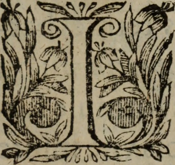 An illustration from Les recherches des Recherches [et] autres oeuures de me Estienne Pasqvier, pour la defense de nos roys, contre les outrages, calomnies, [et] autres impertinences dudit autheur .., 1622, leaf 212