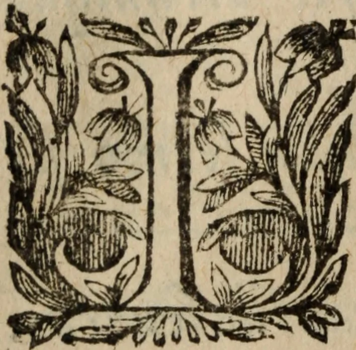 An illustration from Les recherches des Recherches [et] autres oeuures de me Estienne Pasqvier, pour la defense de nos roys, contre les outrages, calomnies, [et] autres impertinences dudit autheur .., 1622, leaf 281