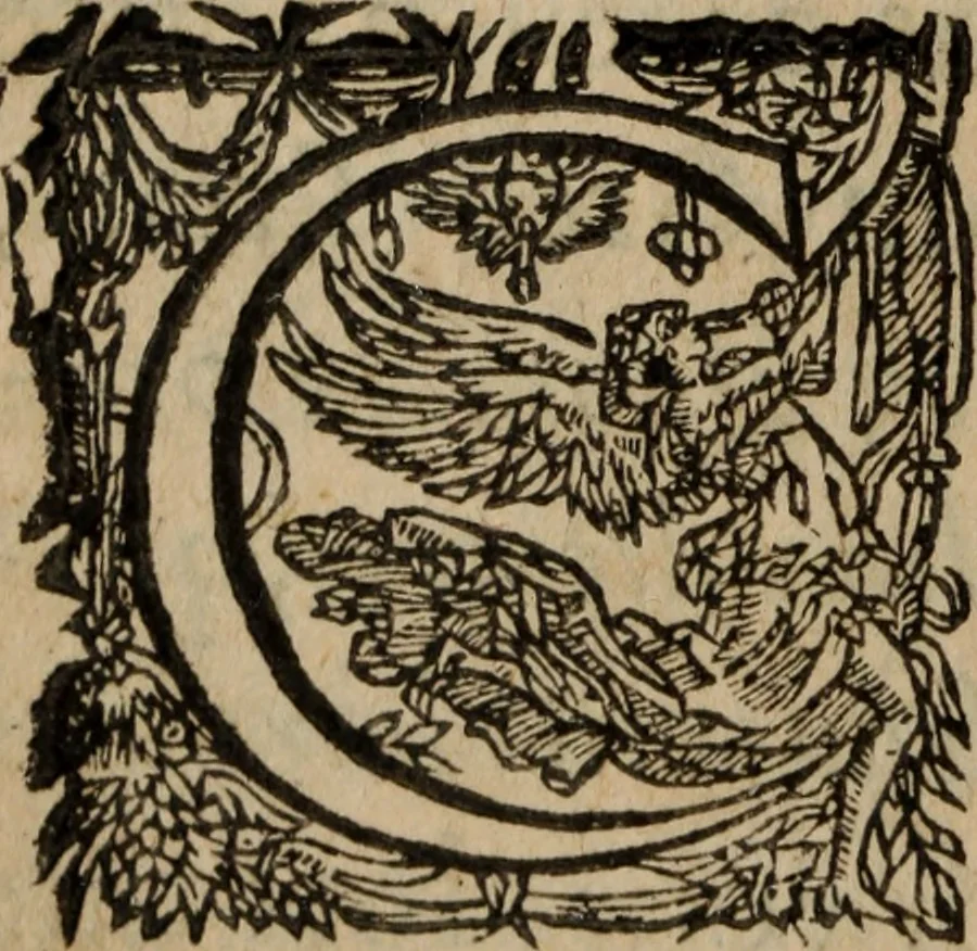An illustration from Les recherches des Recherches [et] autres oeuures de me Estienne Pasqvier, pour la defense de nos roys, contre les outrages, calomnies, [et] autres impertinences dudit autheur .., 1622, leaf 301