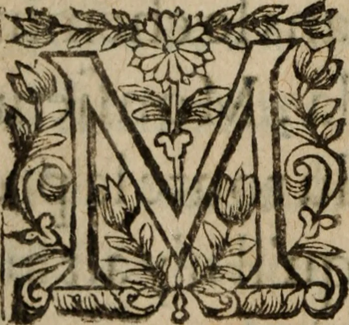 An illustration from Les recherches des Recherches [et] autres oeuures de me Estienne Pasqvier, pour la defense de nos roys, contre les outrages, calomnies, [et] autres impertinences dudit autheur .., 1622, leaf 311
